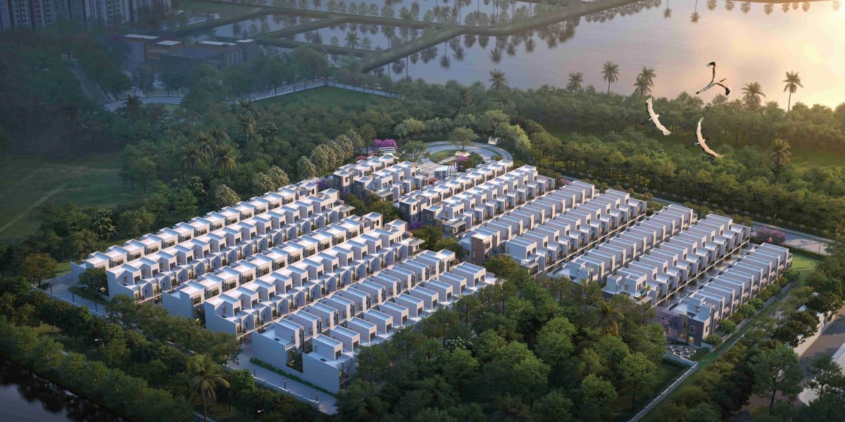 DTC Embassy Plan