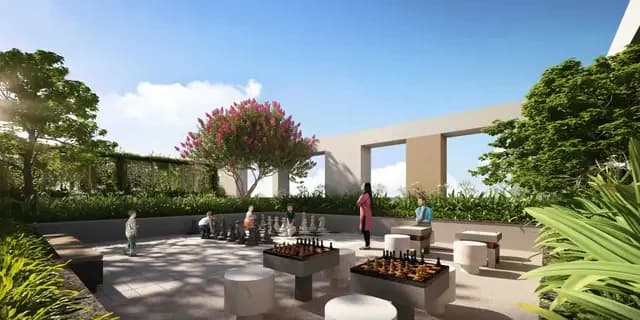 Chess Court