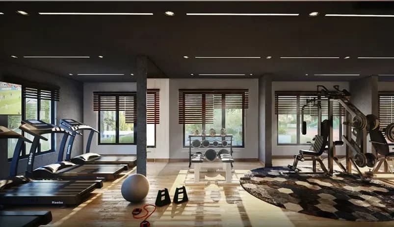 Gymnasium