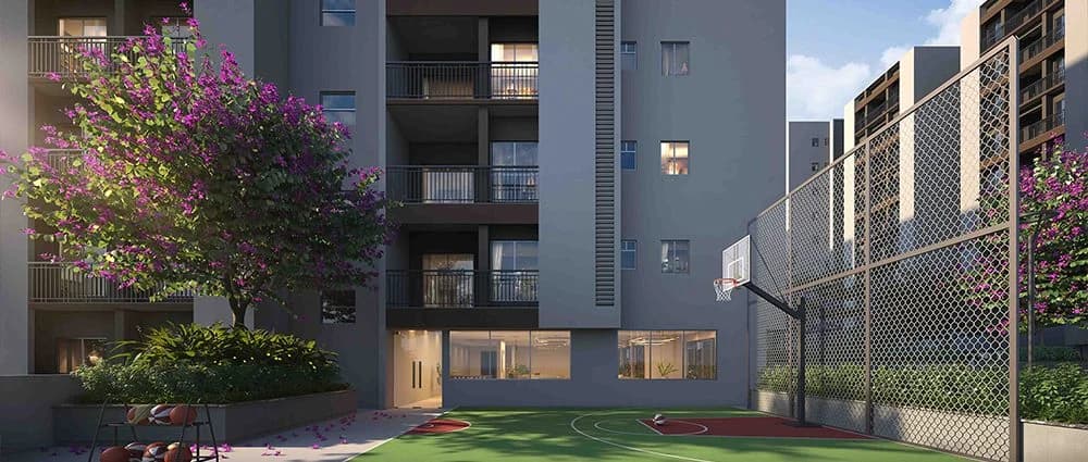 Basketball Court Basketball Court