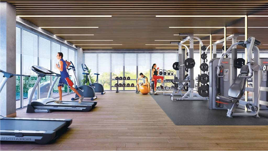 Gymnasium Gymnasium