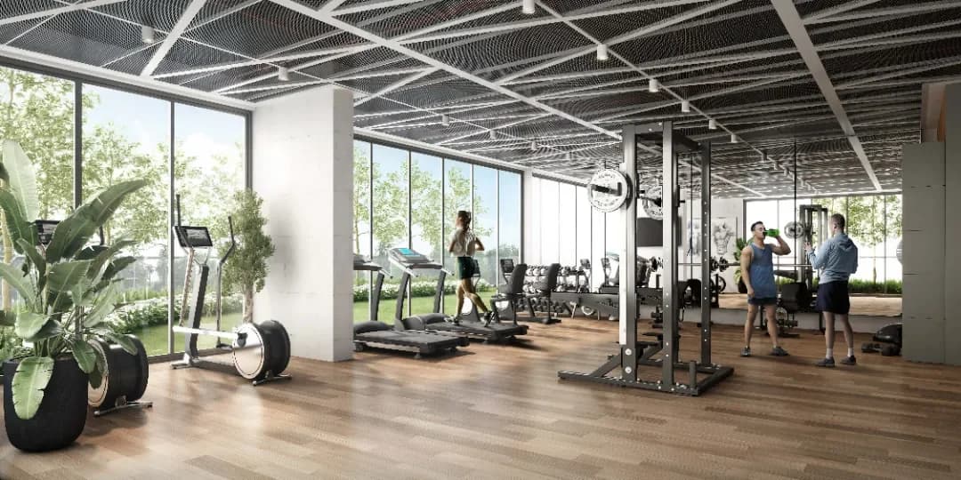 Gymnasium Gymnasium