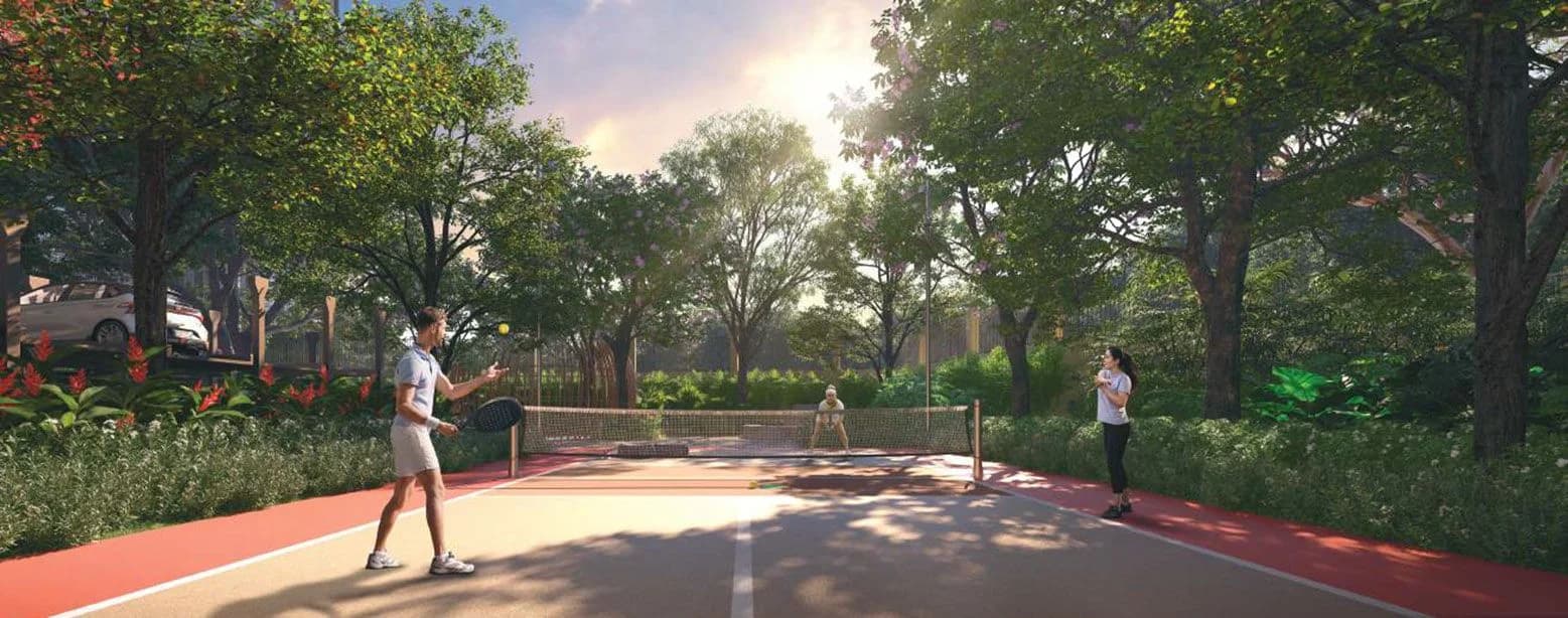 Pickleball Court Pickleball Court