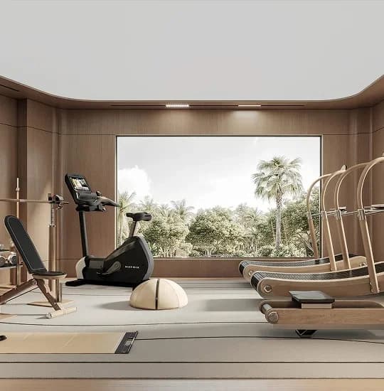 Gymnasium Gymnasium