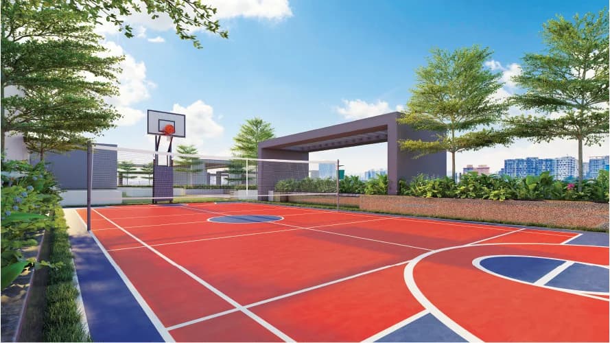 Multipurpose Court Multipurpose Court