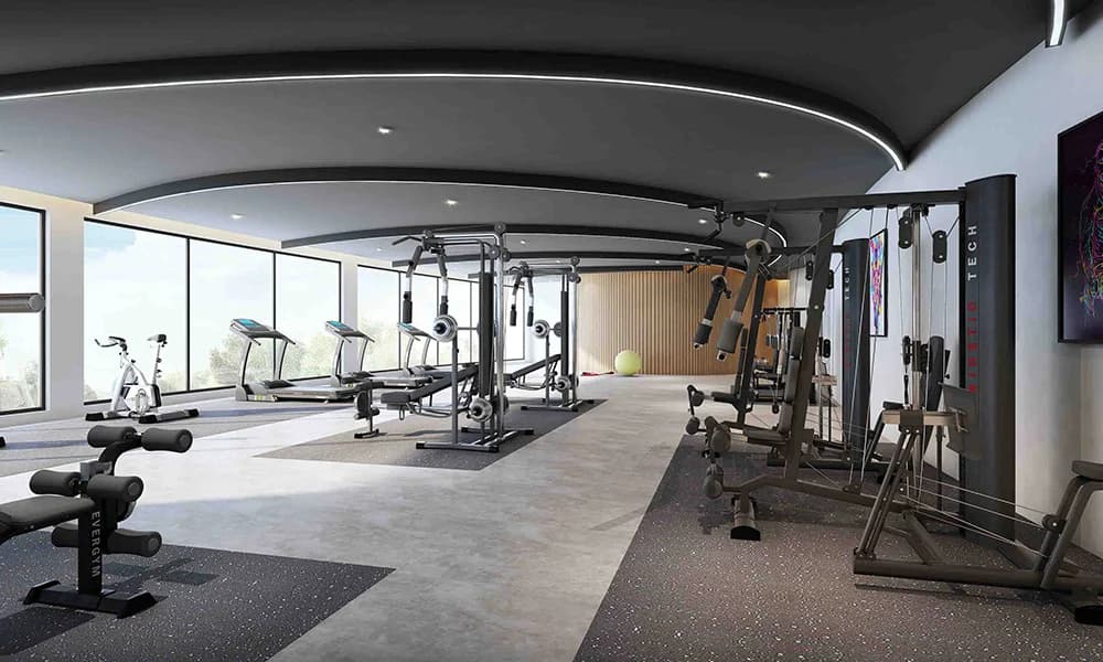 Gymnasium Gymnasium