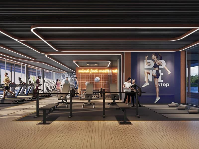 Gymnasium Gymnasium