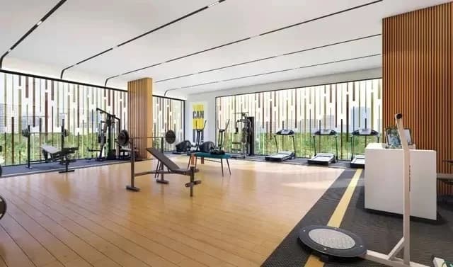 Gymnasium Gymnasium
