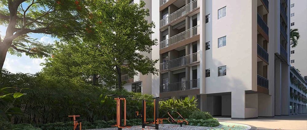 Outdoor Gym Outdoor Gym