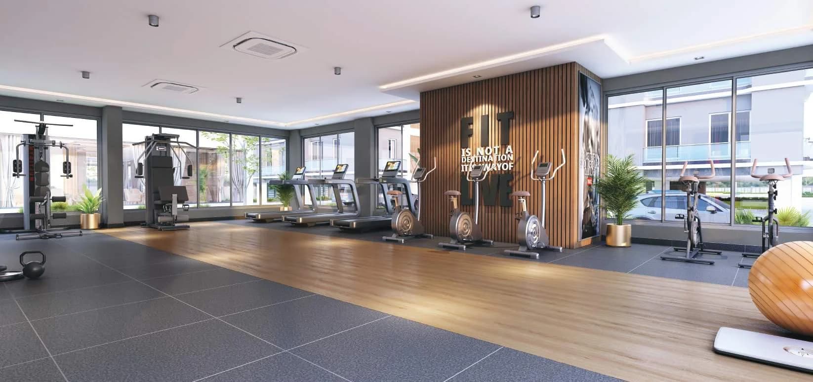 Gymnasium Gymnasium